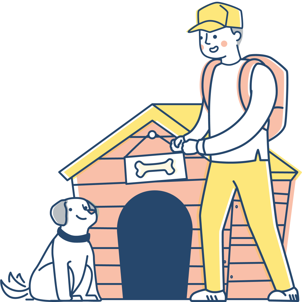 Reviewing the Best Amazon Dog Finds for pet travel