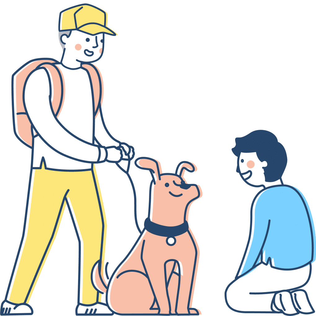 Reviewing the Best Amazon Dog Finds for pet safety and training