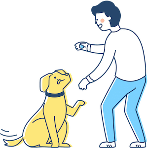 The Best Amazon Dog Finds and gadgets.