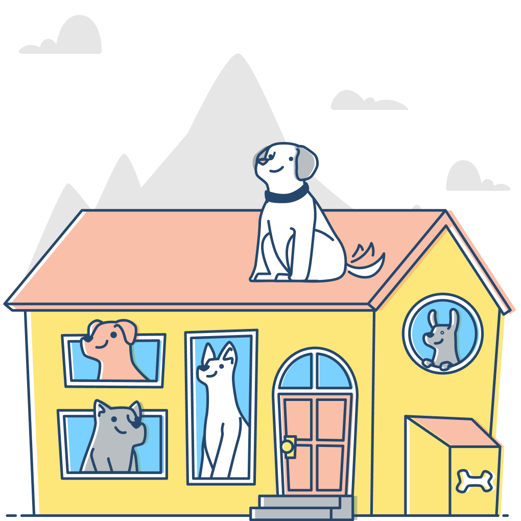 Reviewing the Best Amazon Dog Finds for pet safety and training